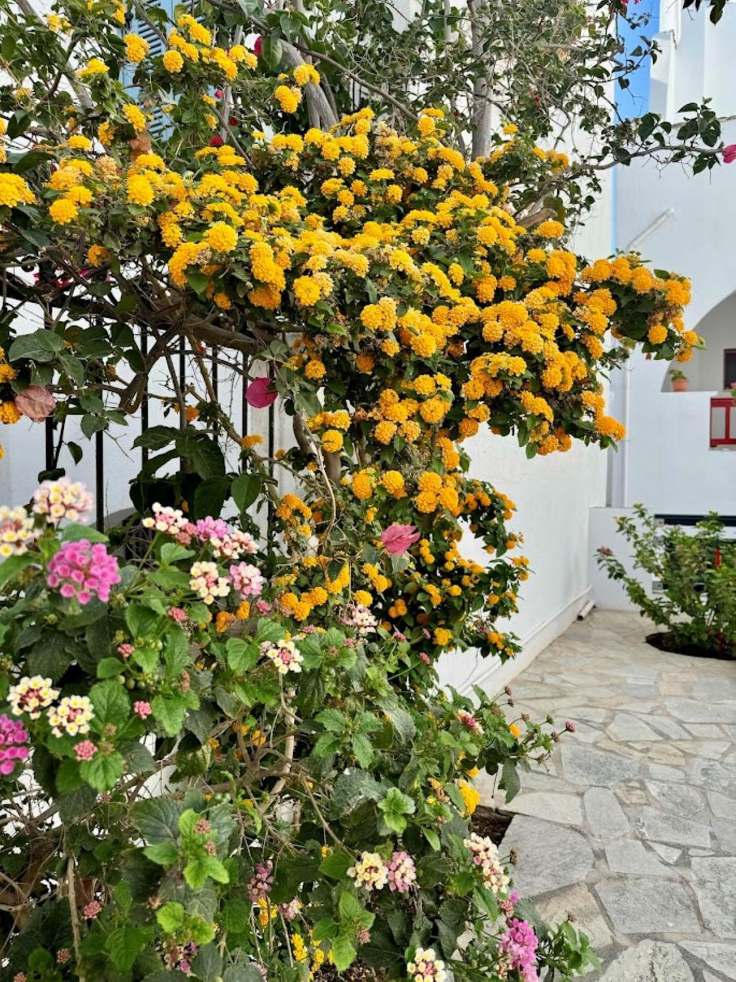 Aparthotel Elisso'S Philoxenia Agios Prokopios  Exterior foto